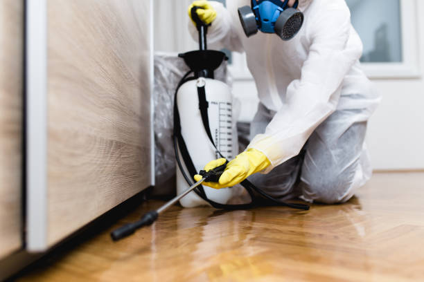 Best Local Pest Control Services  in Seguin, TX